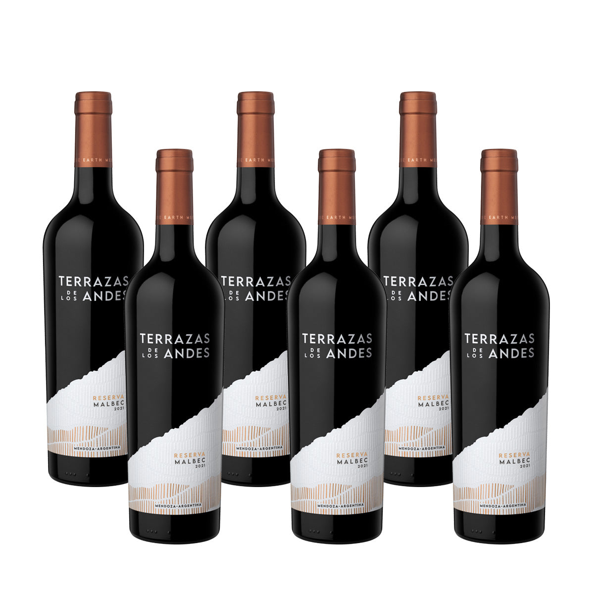 Terrazas Reserva Malbec 2022 Case of 6