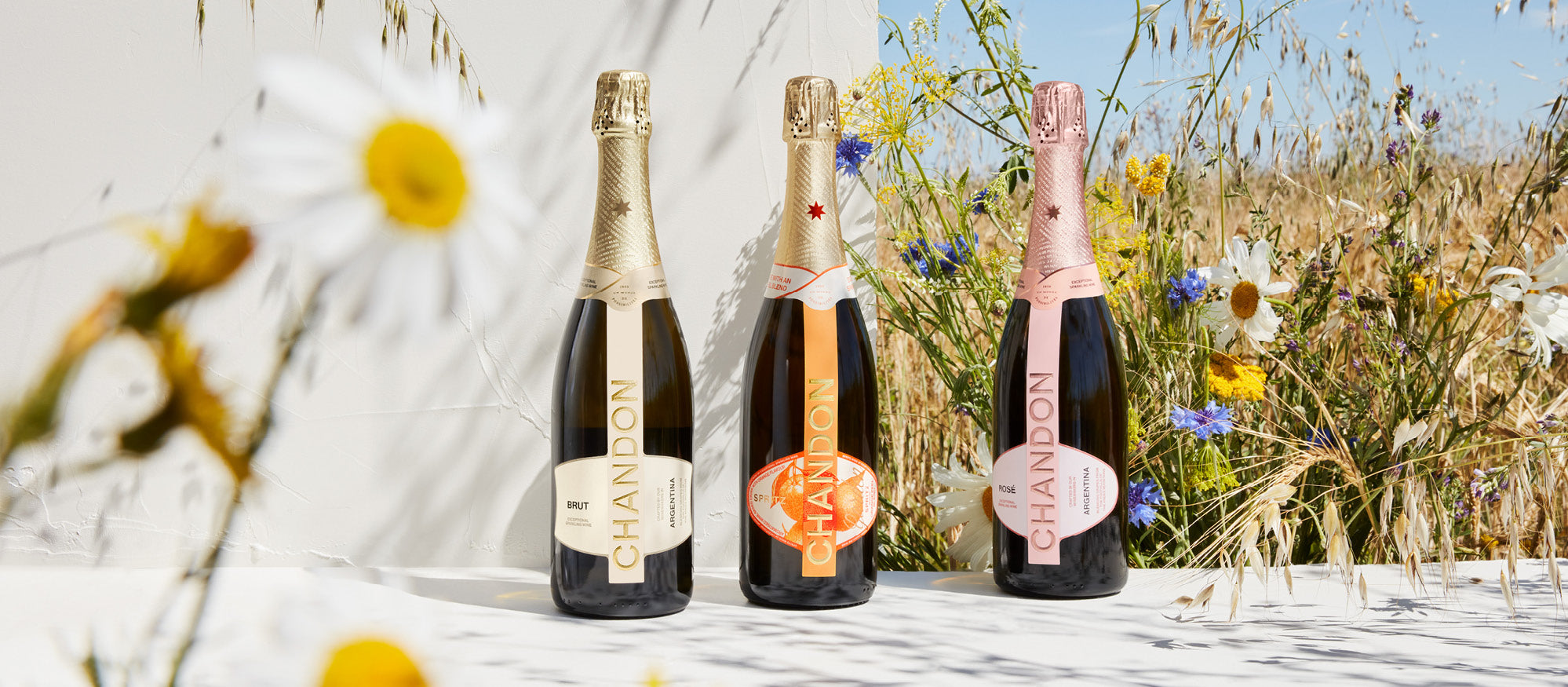 Sparkling Wine