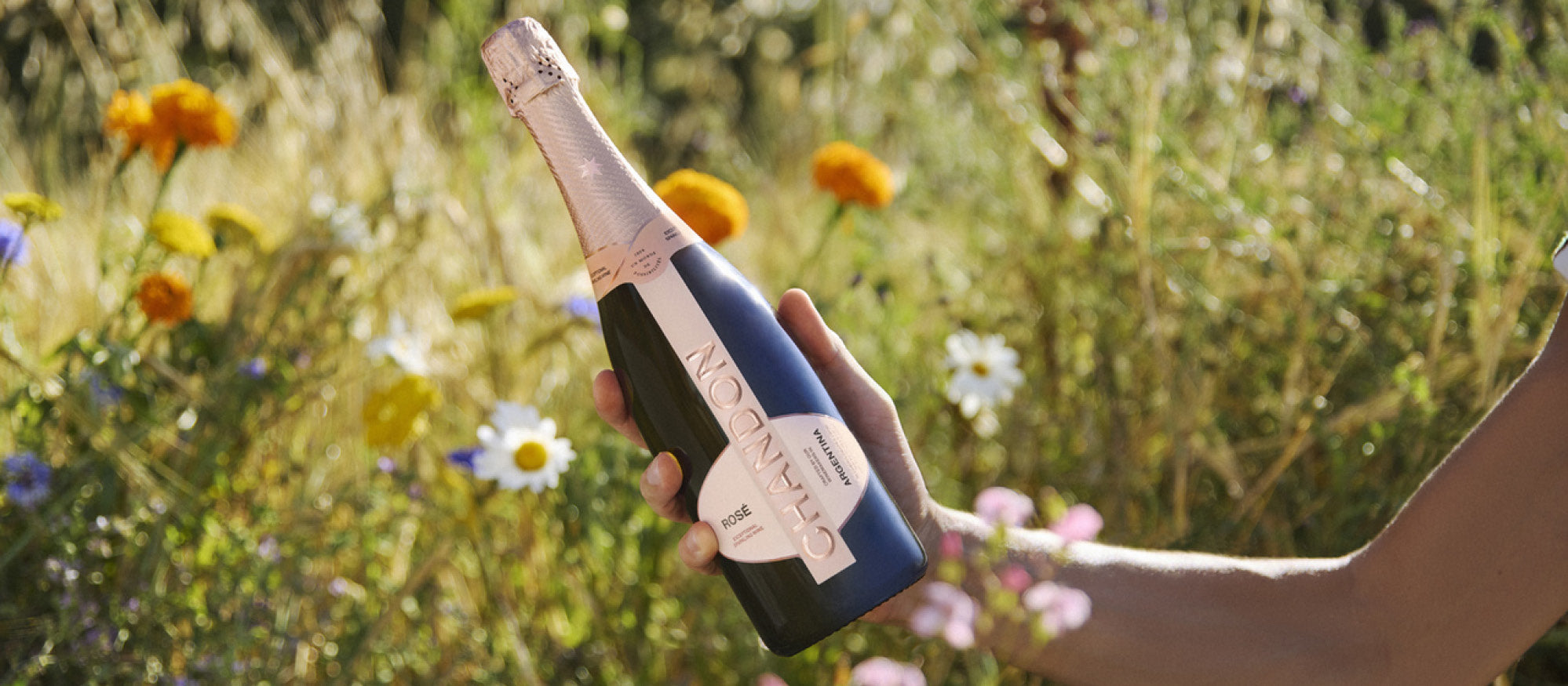 Sparkling Rosé